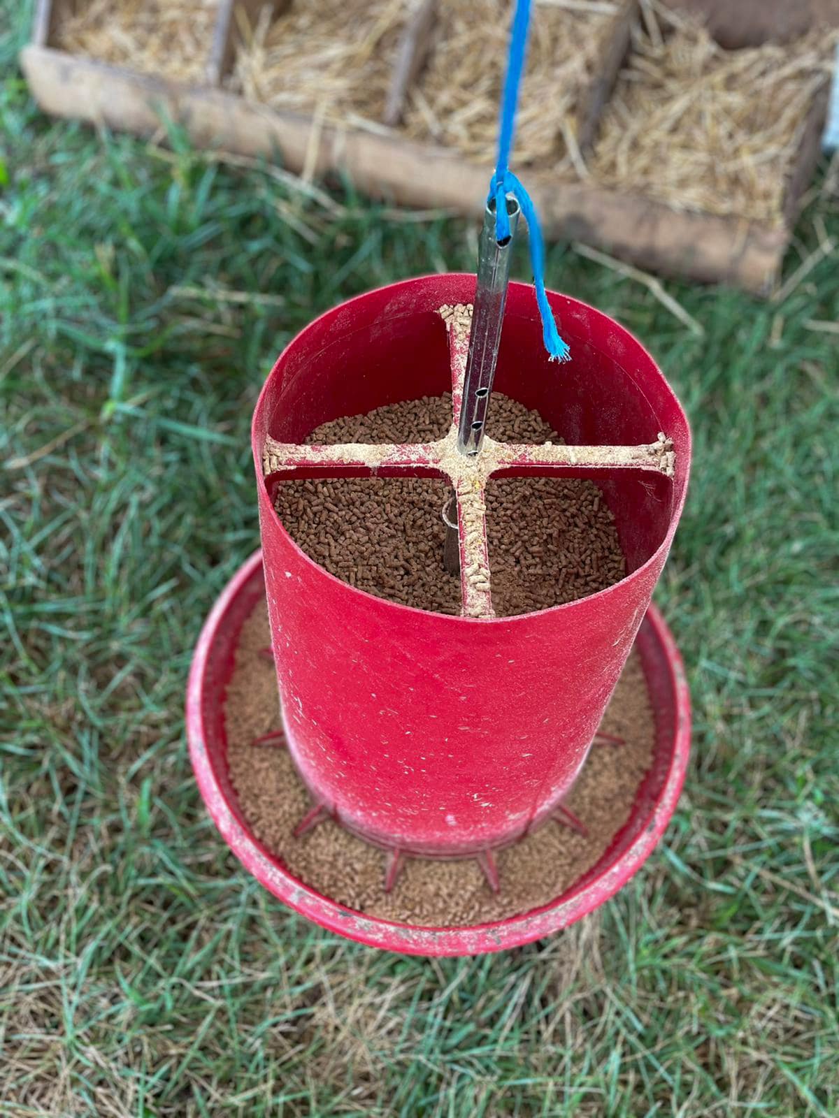 Chicken feeder for mobile coops happy farmer