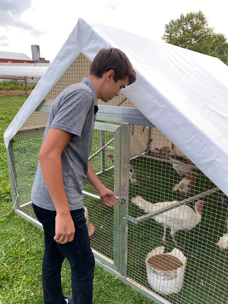 Mobile Turkey Coop Convenient Home For Your Flock