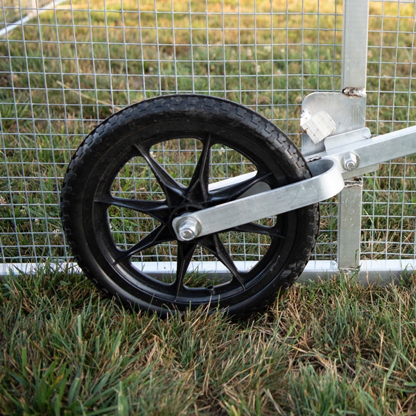 Chicken Coop For 100 Chickens Spacious Coop For Your Birds