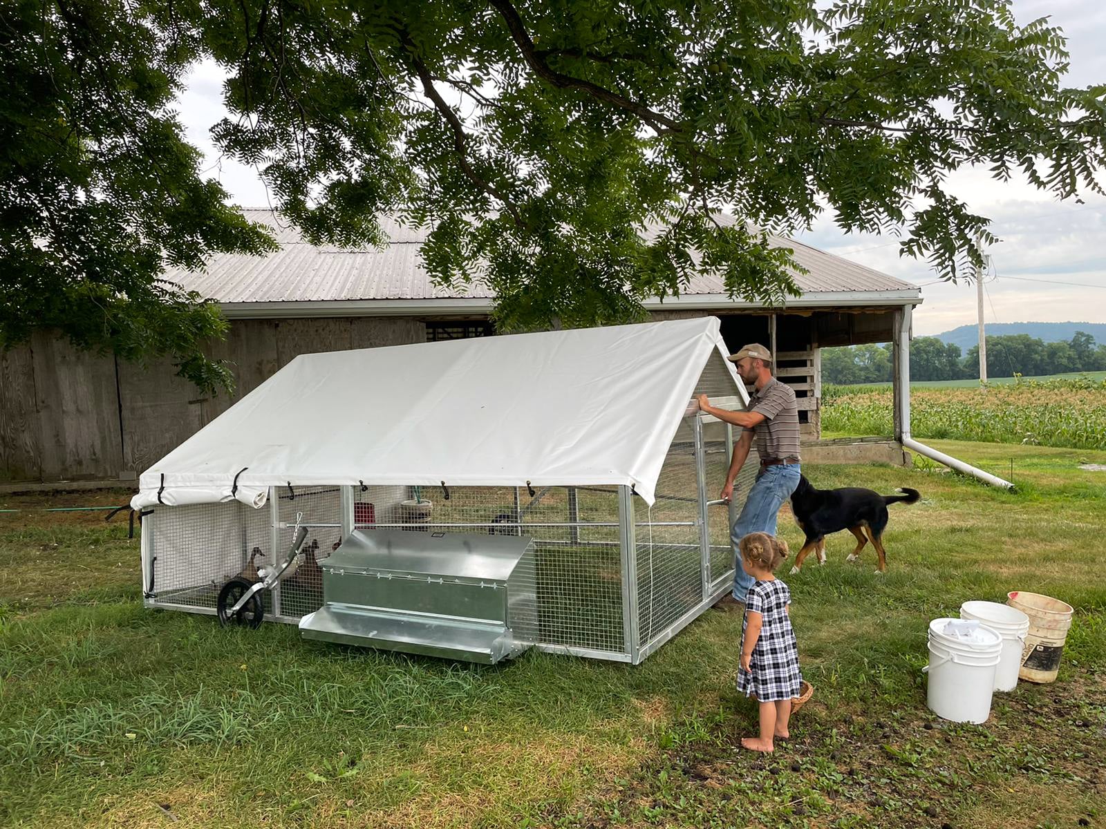 10x12 Mobile Coop for up to 80 Broiler, 40 Ducks or 30 Turkeys