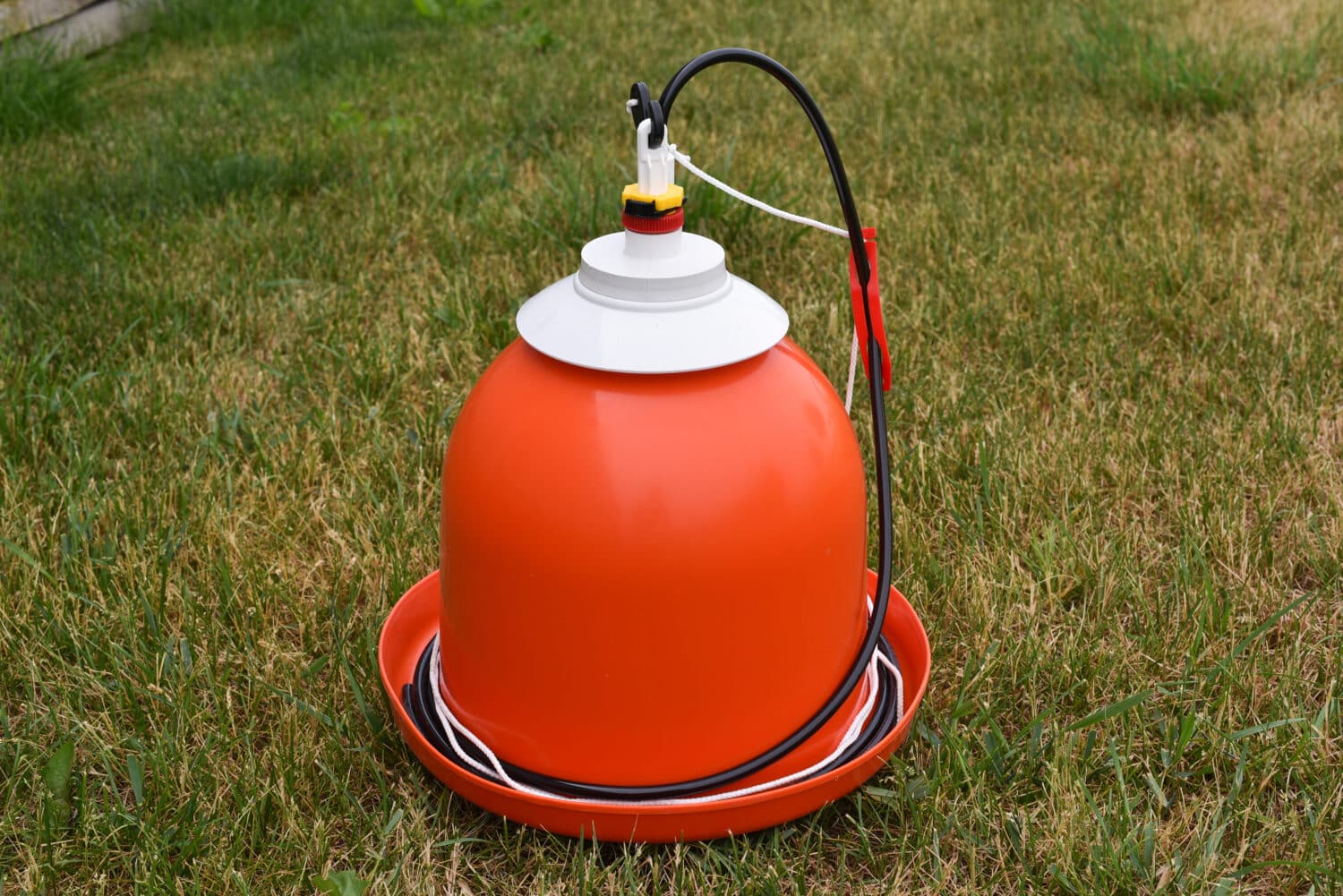 Chicken Coop For 8 Chickens Spacious Coop For Your Birds