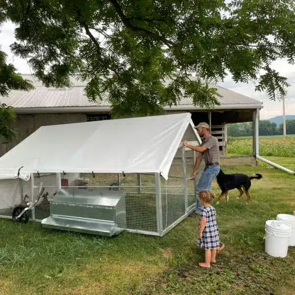 Chicken Coop For 40 Chickens Spacious Coop For Your Birds