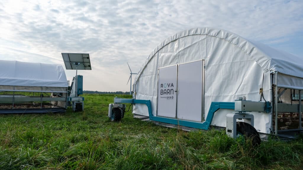 automated chicken barns for sale